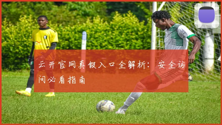 云开官网真假入口全解析：安全访问必看指南