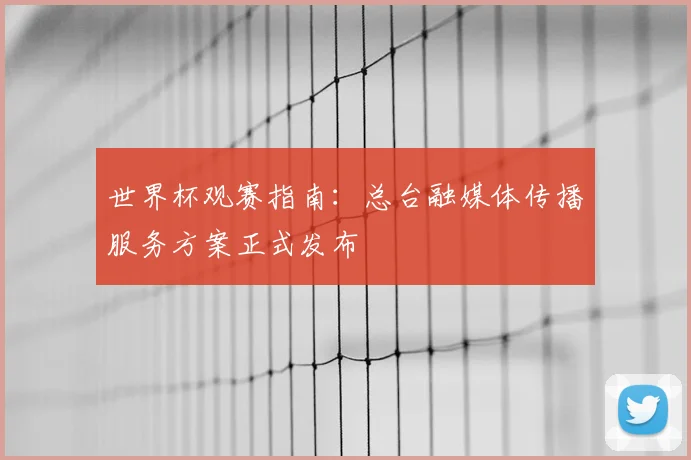 世界杯观赛指南：总台融媒体传播服务方案正式发布